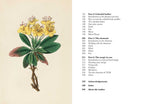 A Practical Guide to Magic in Nature by Jessica Lahoud